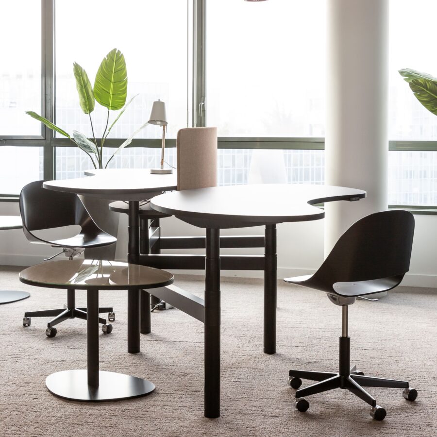 Bulo Senses Workstation