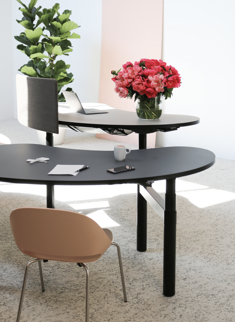 Bulo Senses Workstation